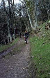 Philip Mills leads the descent of the woodland track to Selworthy