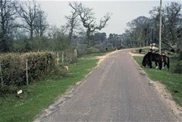 The lanes near Sowley Pond