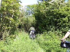 Louis entering the overgrown track past Lower Reveton, Loddiswell