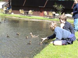Louis and Joe with the ducks in the Tides Reach Hotel pond