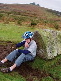 Charlie shelters from the cold wind near Haytor quarry