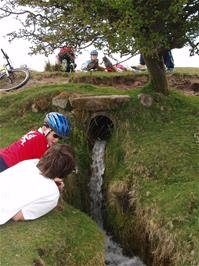 The youngsters explore the Holne Moor Leat's course under the road near Combestone Tor