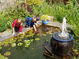 Olly, Sam and Zac go fishing - in the garden centre pond!
