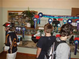 Olly, Sam and Freddie check out the winners' cages at Rattery Poultry Show
