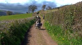 Following the scenic track from Selworthy to Allerford