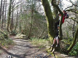 Lower Hembury track