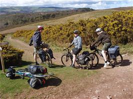 The beginning of the downhill track to Selworthy