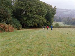 Riding down the field towards Holne Woods