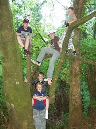 Zac, Ryan, Tom, Ash and Matt in the tree on the Lower Hembury Track