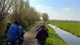 The group with the swan on Beer Drove, Somerset Levels