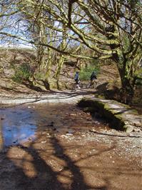 The bridge and stream near Cross Furzes