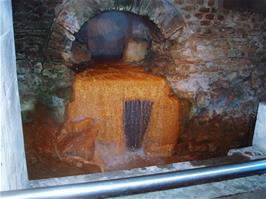 The Sacred Spring overflow at the Roman Baths