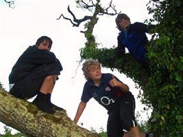 Zac, Matt and Ash up a tree at Humphrey's Cross