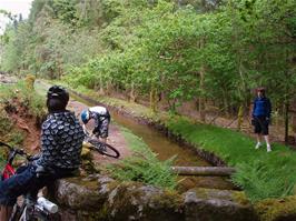 The leat near Burrator