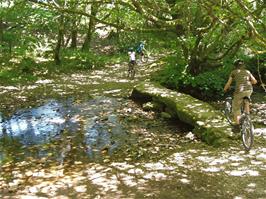 Dappled sunlight at the ford near Cross Furzes