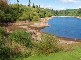 Trenchford reservoir