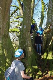 Climbing a tree near the ford at Cross Furzes