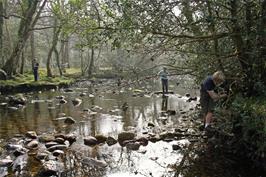 Callum, Connor & Brodie enjoying the river Dart at Spitchwick