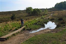 Climbing to Woodbury Common