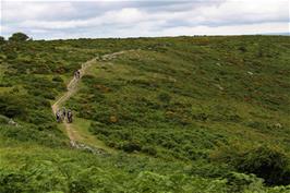 Dr Blackall's Drive, from near Mel Tor