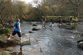 Stepping stones across the West Dart River