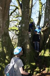 Climbing a tree near the ford at Cross Furzes
