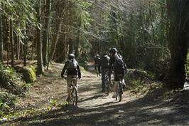 Continuing along the Belford Mill track