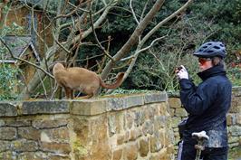 Ash photographs a very friendly cat on the approach to Ilmington