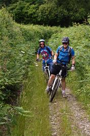 Exploring a side track on the way to Higher Penn, Landscove