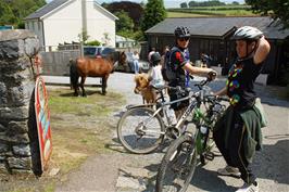 Ash and Callum at Holne café with the cute pony and handsome horse