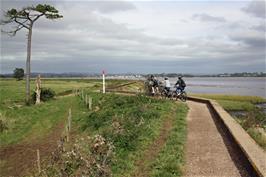 Ash leads the way on the path along the Exe Estuary