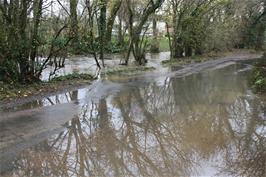 The River Hems in flood near Portbridge Cross, Broadhempston
