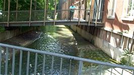 The entrance to Basel Youth Hostel crosses the St Alban-Teich canal, built in the high Middle Ages