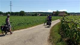 Ready to continue along Route 5 at Fulenbach