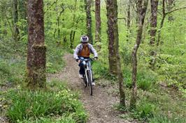 Will Rogers on the lower part of the "Slalom" track through Hembury Woods