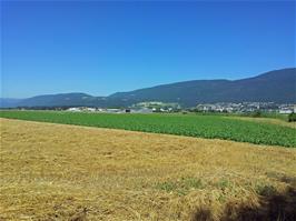 Grenchen Airfield, where numerous plains have been dropping paragliders for the quiet descent, 7.1 miles into the ride