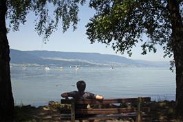 Ash enjoys the idyllic views across lake Neuchâtel 