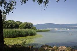 Lake Neuchâtel from our lunch spot in the woods near Yvonand