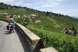 Will and Ash take in the impressive Villette Vineyards from Rte de la Petite Corniche, Lutry