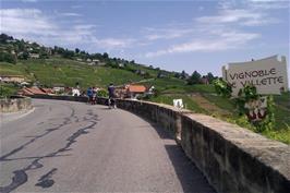 Start of the Villette Vineyards, a little further along Rte de la Petite Corniche, Lutry