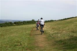 The Abbot's Way bridleway from Water Oak Corner