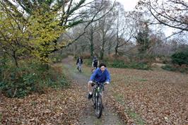 Riding the track to Hembury fort