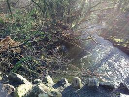 The little bridge at Avonwick, crossing the Avon - new photo for 2024