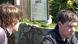 Ash would really like to punish this seagull for stealing part of Michael's pasty right out of his hand