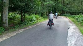 Riding along Bolderwood Arboretum Ornamental Drive in the New Forest, 3.0 miles into the ride