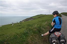 Ash on the coast road near Portwrinkle, 6.9 miles from Torpoint