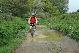 Jack negotiates water on the Kingston bridleway