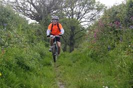 Top of the climb on the Kingston bridleway