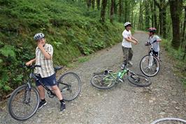 Dillan, Lawrence and George on the track through Holne Woods (Ash took the road)