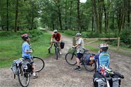 Heading offroad from the Rhinefield Ornamental Drive at Brock Hill, 4.8 miles into the ride